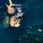 Underwater Celebrities