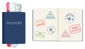visa and passport singhvi online