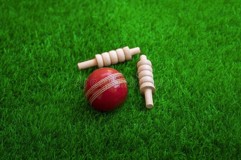 Singhvi Online Cricket