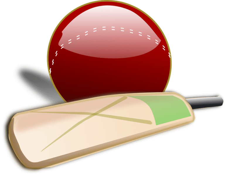 cricket 2022
