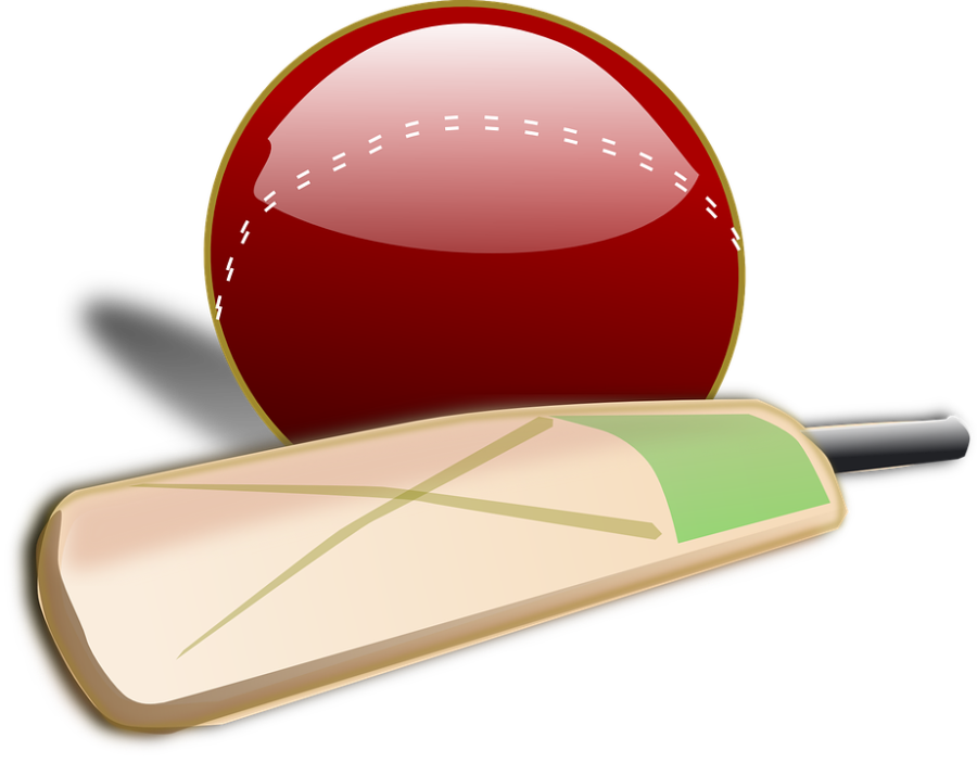cricket 2022