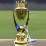 Asia Cup Indian Love in Dubai