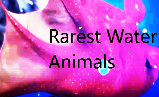 Top 10 Deep-Sea Animals: Fascinating Creatures