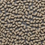 The Vital Role of B Vitamins: B12 Most Essential