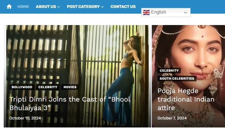 Offer or Sale BollywoodPlugin.in